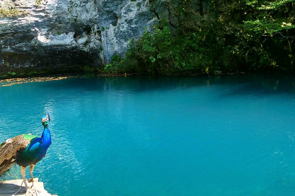 Голубые абхазии. Голубое озеро Абхазия. Абхазия голубое озеро каньон. Голубое озеро Рица Абхазия. Голубое озеро Абхазия Легенда.